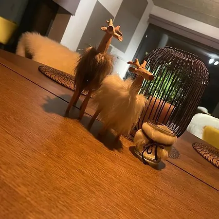 A Courriere Appartement Assesse